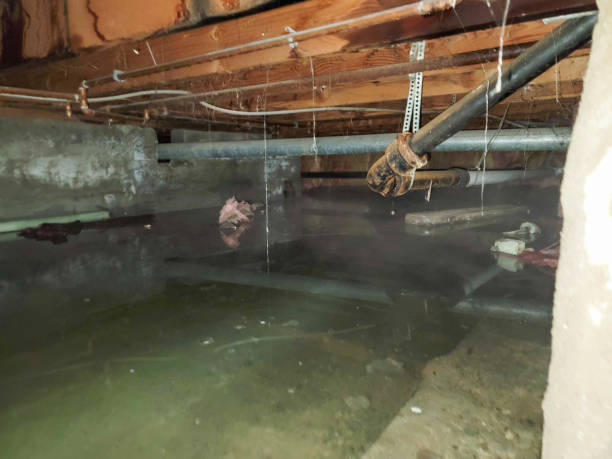 Water damage restoration process in West Haven Sylvan, OR