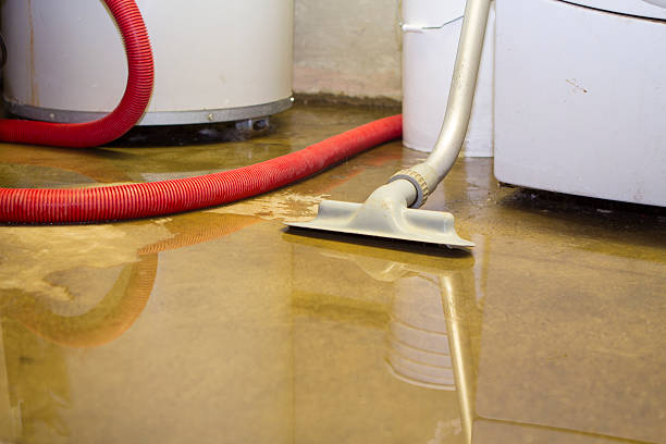 Best Water damage cleanup near me  in West Haven Sylvan, OR