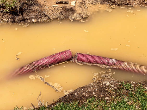Best Carpet water damage restoration  in West Haven Sylvan, OR
